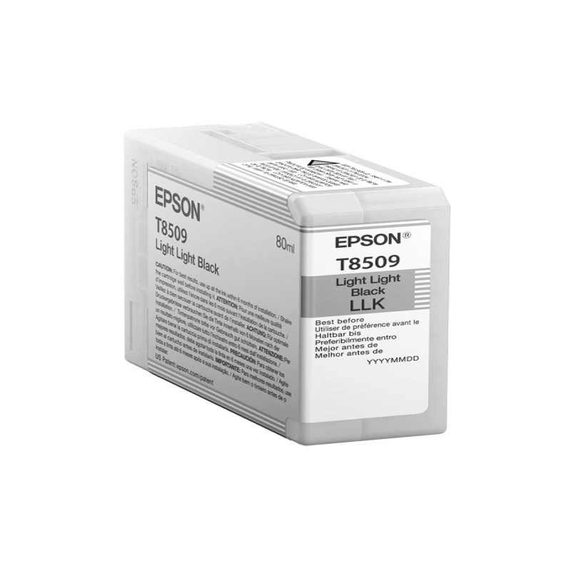 Cartucho de Tinta Epson T850900 Ligth Light Negro Original